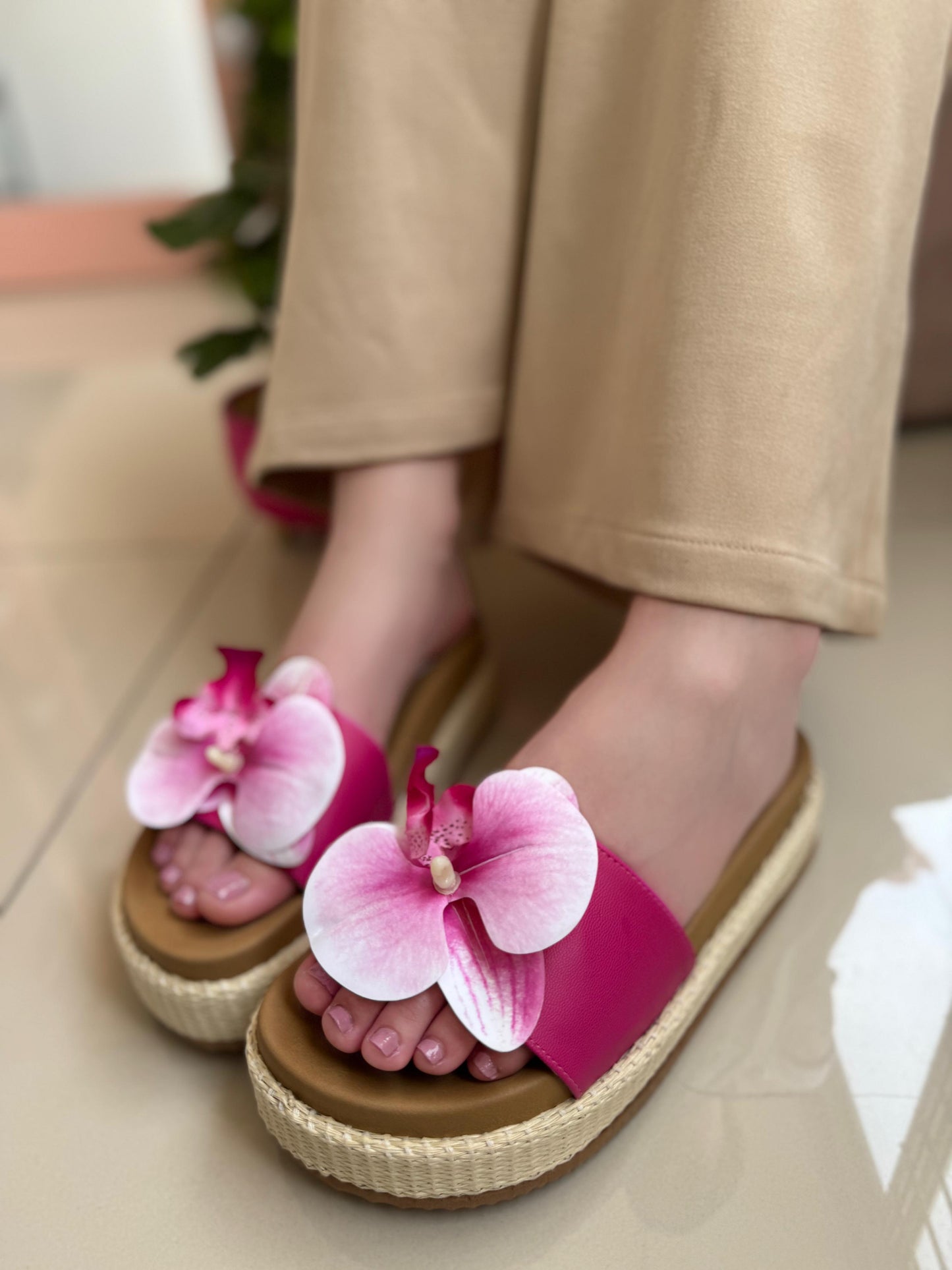 TERRA FLOWERS