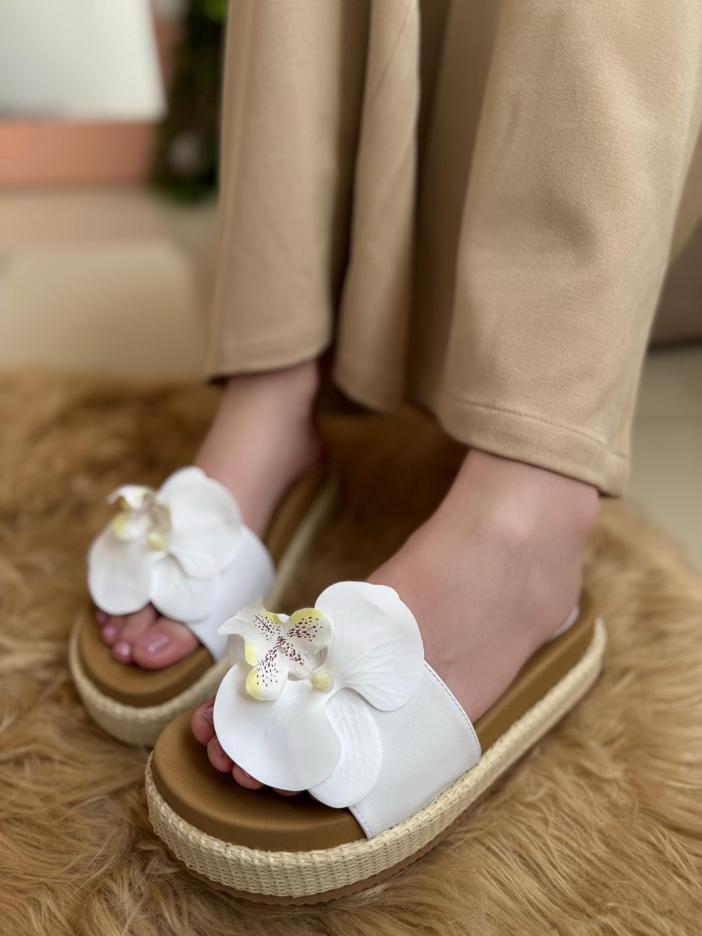 TERRA FLOWERS