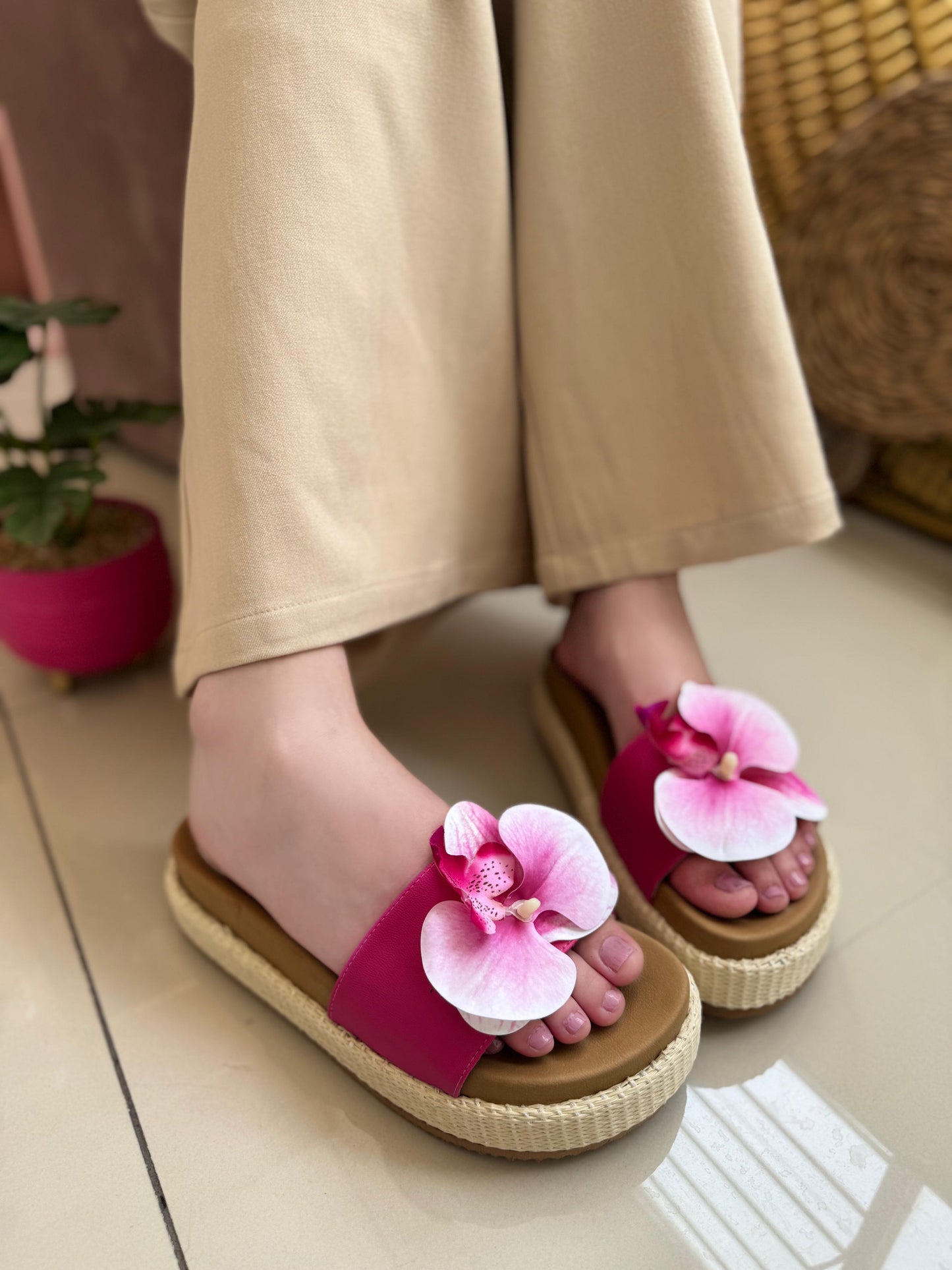 TERRA FLOWERS