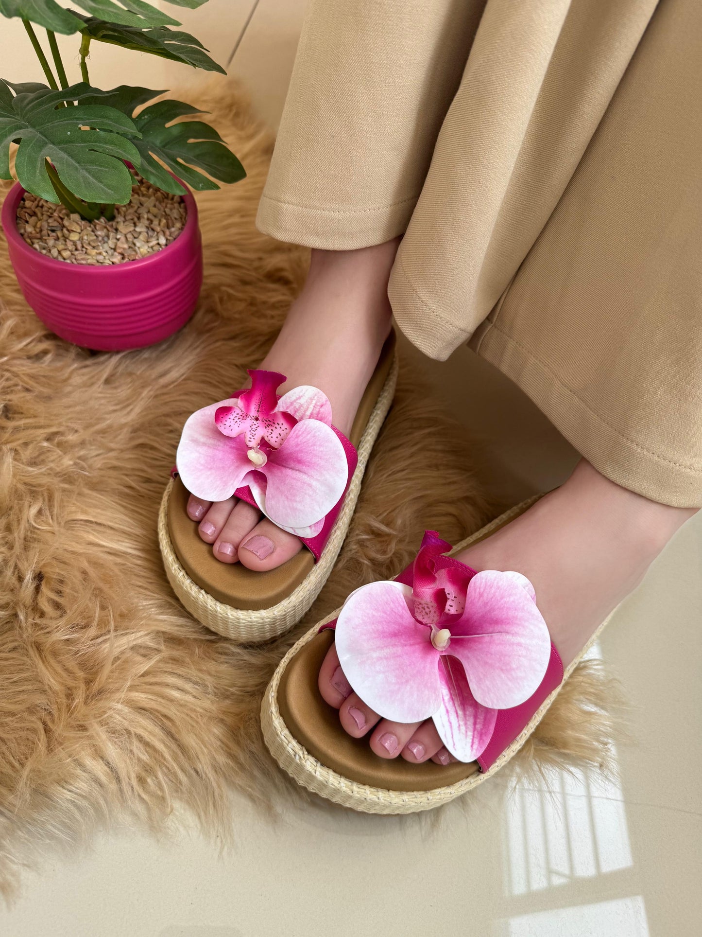 TERRA FLOWERS